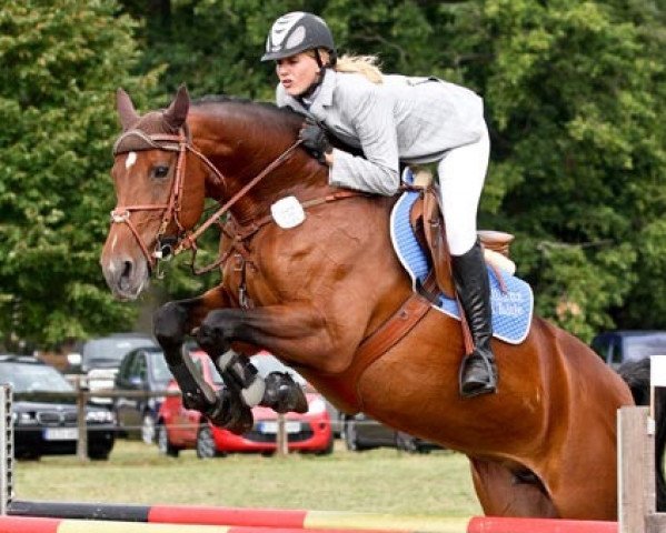 Zuchtstute Ramirada (Hessisches Warmblut, 2000, von Ramirado)