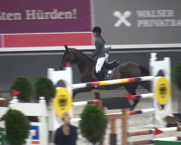 Reitturnier Mönchengladbach-Abtshof 2015