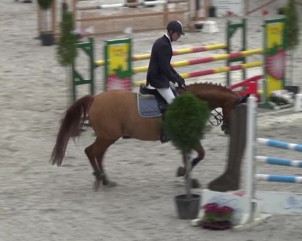 Reitturnier Mönchengladbach-Abtshof 2015