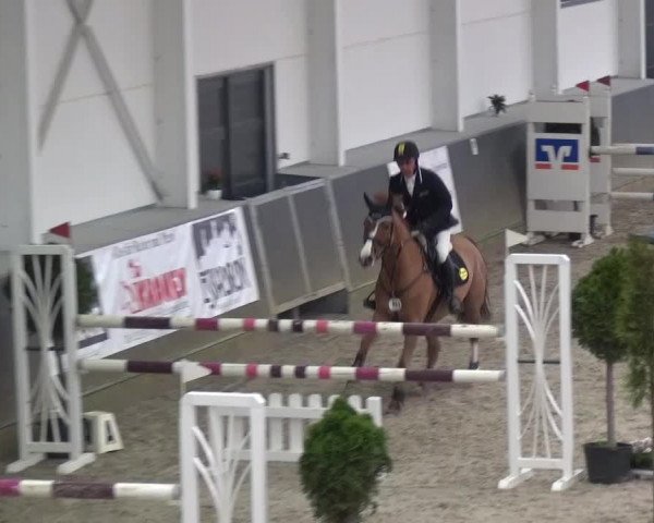Reitturnier Mönchengladbach-Abtshof 2015