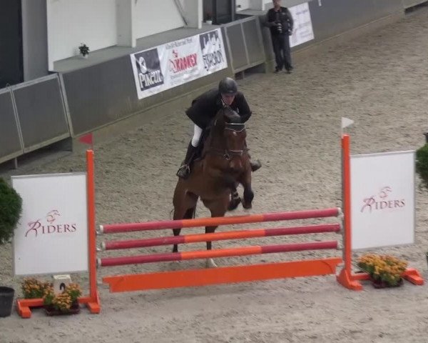 Reitturnier Mönchengladbach-Abtshof 2015