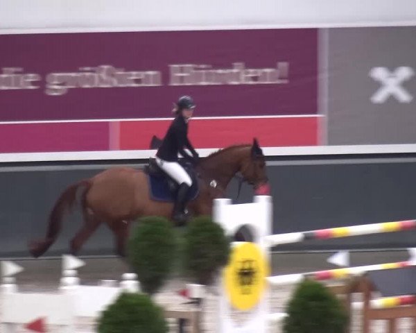 Reitturnier Mönchengladbach-Abtshof 2015