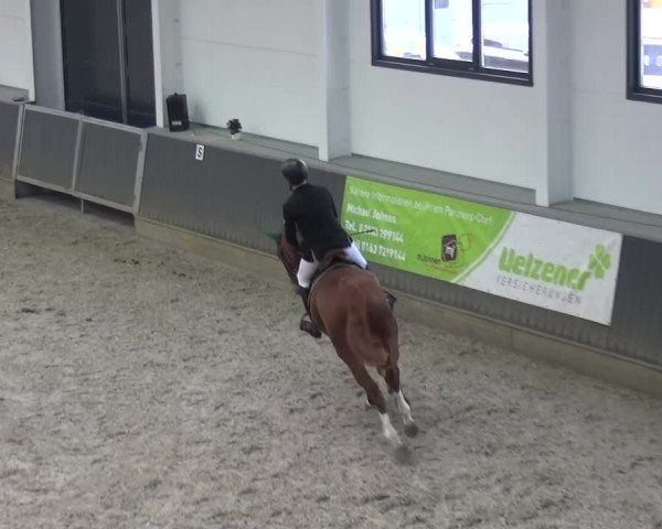 Reitturnier Mönchengladbach-Abtshof 2015