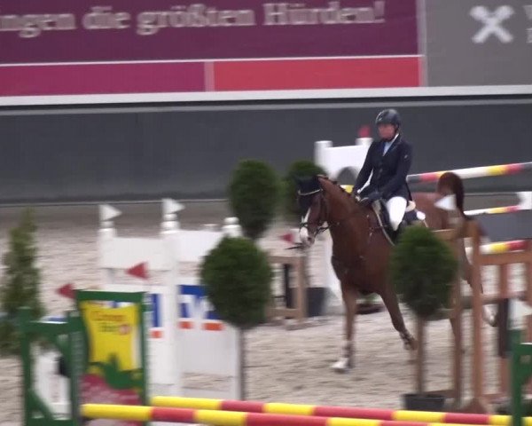 Reitturnier Mönchengladbach-Abtshof 2015