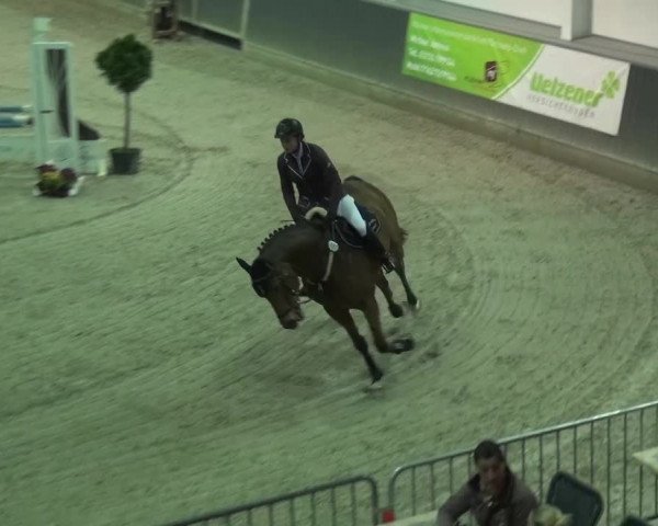 Reitturnier Mönchengladbach-Abtshof 2015