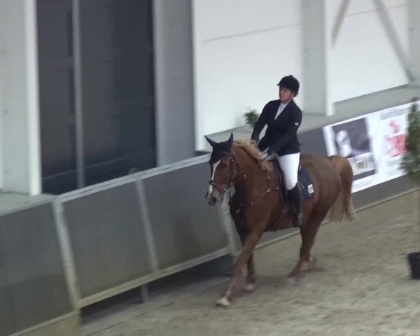 Reitturnier Mönchengladbach-Abtshof 2015