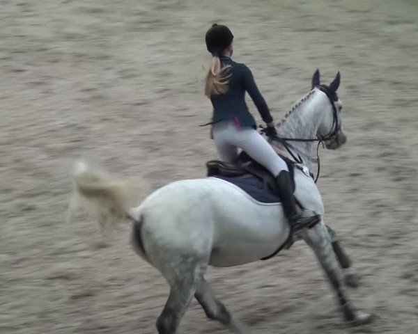 Reitturnier Mönchengladbach-Abtshof 2015