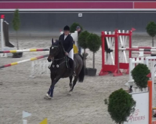 Reitturnier Mönchengladbach-Abtshof 2015