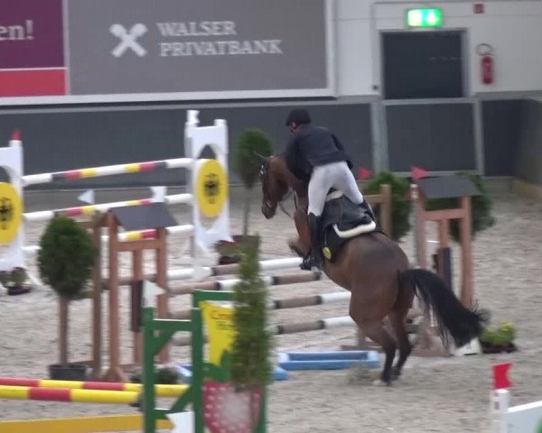 Reitturnier Mönchengladbach-Abtshof 2015