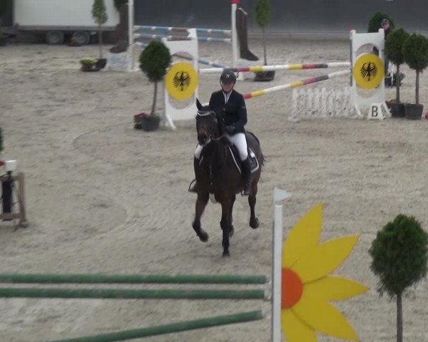Reitturnier Mönchengladbach-Abtshof 2015