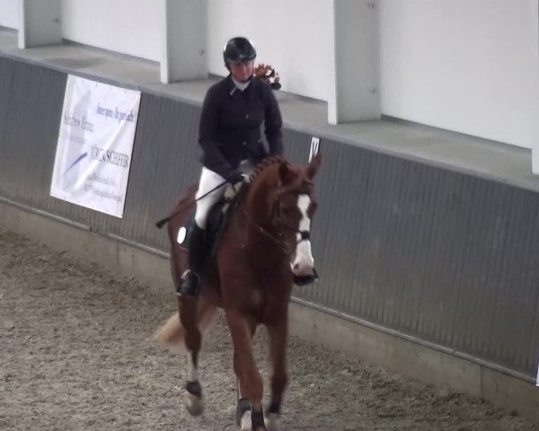 Reitturnier Mönchengladbach-Abtshof 2015