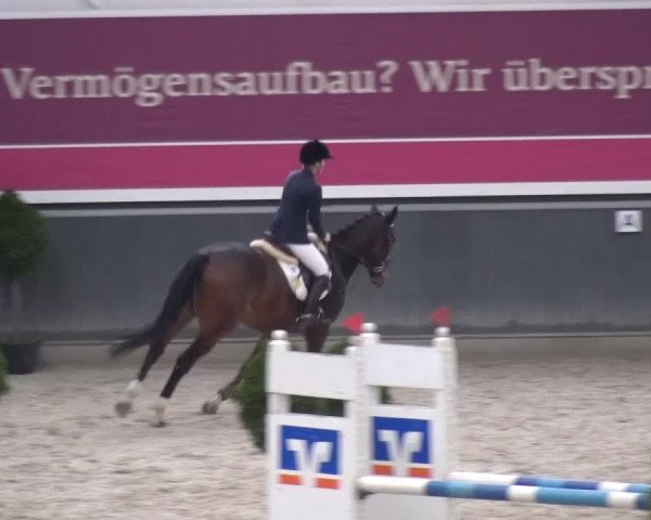 Reitturnier Mönchengladbach-Abtshof 2015