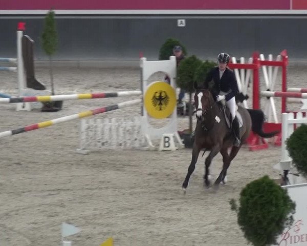 Reitturnier Mönchengladbach-Abtshof 2015