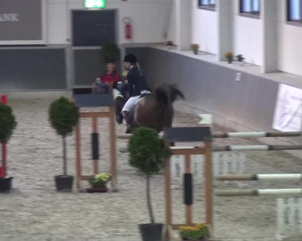 Reitturnier Mönchengladbach-Abtshof 2015