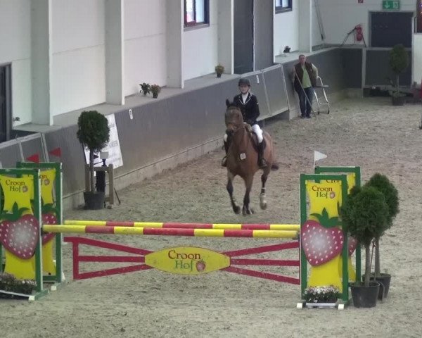 Reitturnier Mönchengladbach-Abtshof 2015