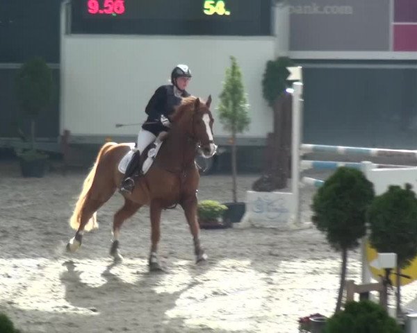 Reitturnier Mönchengladbach-Abtshof 2015