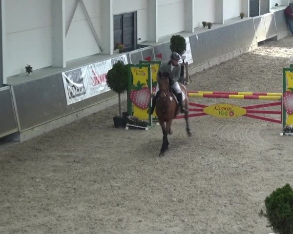 Reitturnier Mönchengladbach-Abtshof 2015