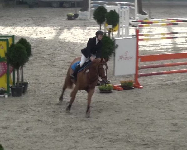 Reitturnier Mönchengladbach-Abtshof 2015