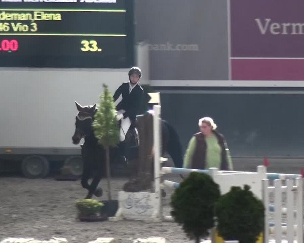 Reitturnier Mönchengladbach-Abtshof 2015