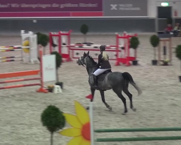 Reitturnier Mönchengladbach-Abtshof 2015
