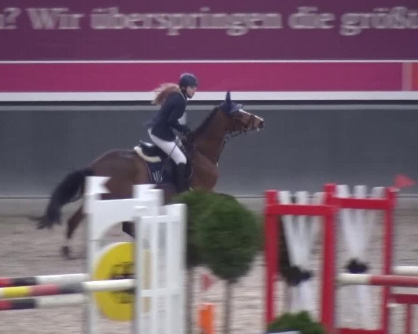 Reitturnier Mönchengladbach-Abtshof 2015