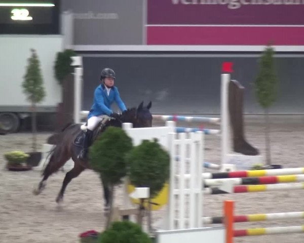 Reitturnier Mönchengladbach-Abtshof 2015