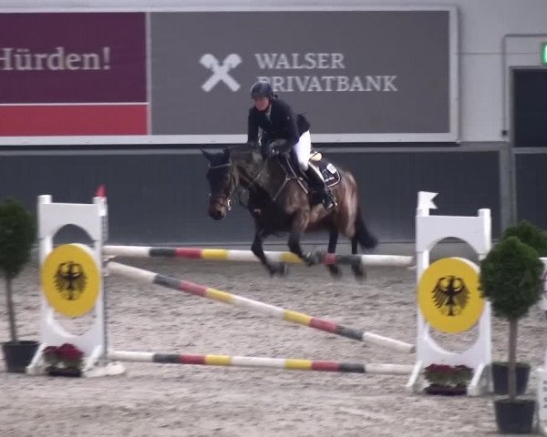Reitturnier Mönchengladbach-Abtshof 2015