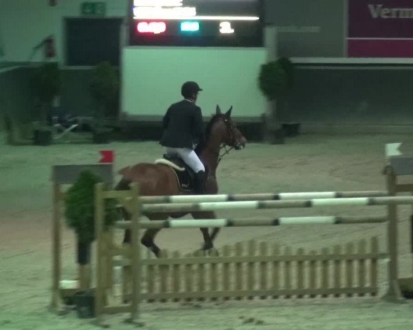 Reitturnier Mönchengladbach-Abtshof 2015