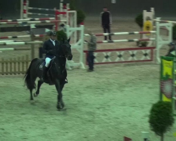 Reitturnier Mönchengladbach-Abtshof 2015