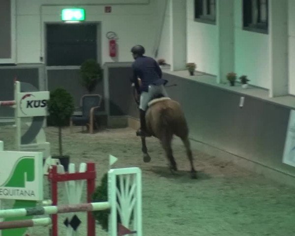 Reitturnier Mönchengladbach-Abtshof 2015