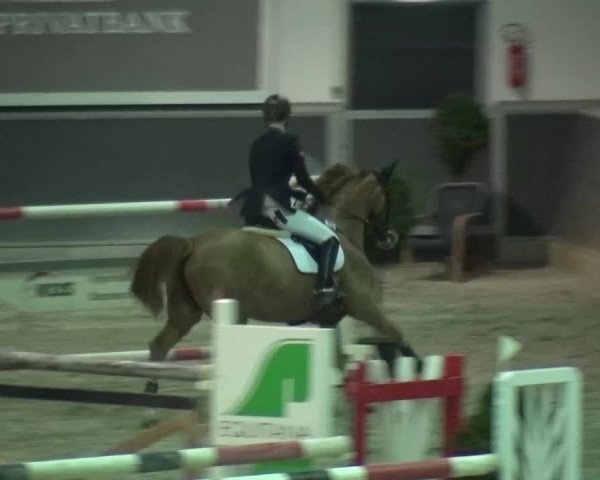 Reitturnier Mönchengladbach-Abtshof 2015