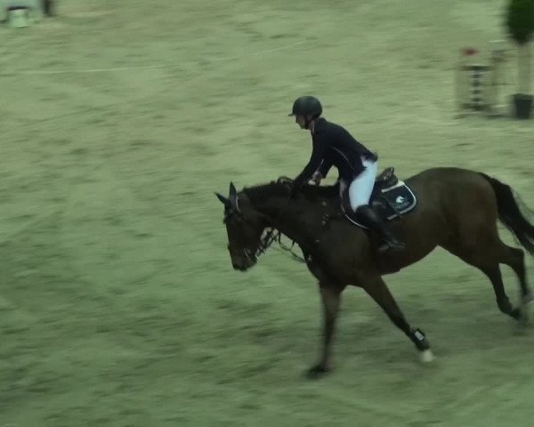 Reitturnier Mönchengladbach-Abtshof 2015