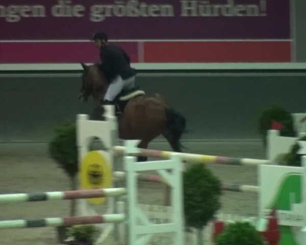 Reitturnier Mönchengladbach-Abtshof 2015