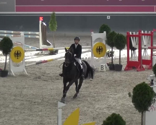 Reitturnier Mönchengladbach-Abtshof 2015