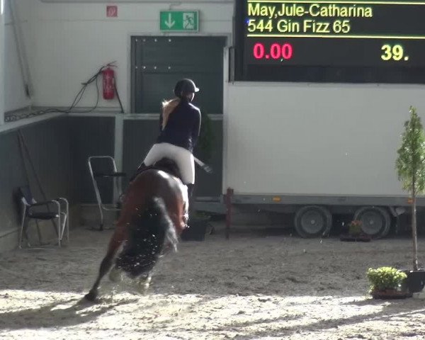 Reitturnier Mönchengladbach-Abtshof 2015
