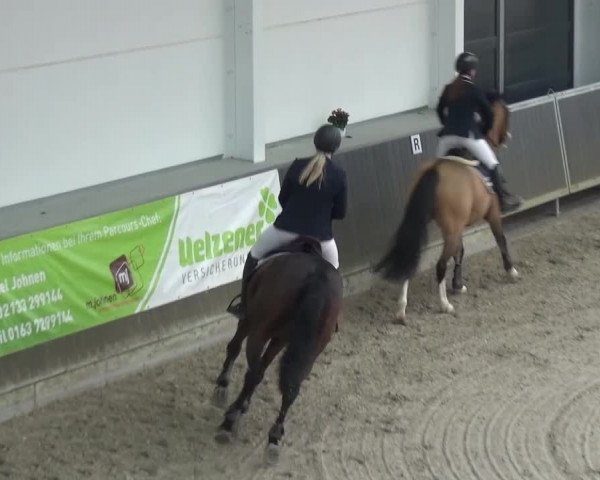 Reitturnier Mönchengladbach-Abtshof 2015
