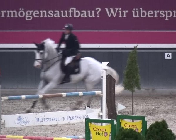 Reitturnier Mönchengladbach-Abtshof 2015