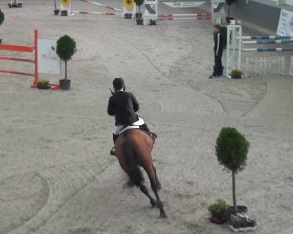 Reitturnier Mönchengladbach-Abtshof 2015