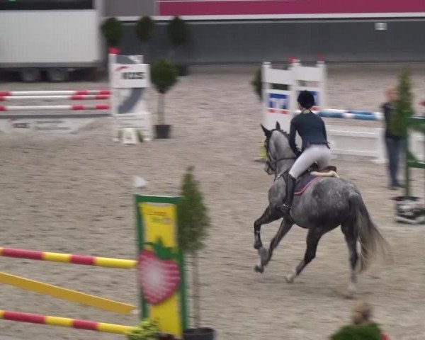 Reitturnier Mönchengladbach-Abtshof 2015