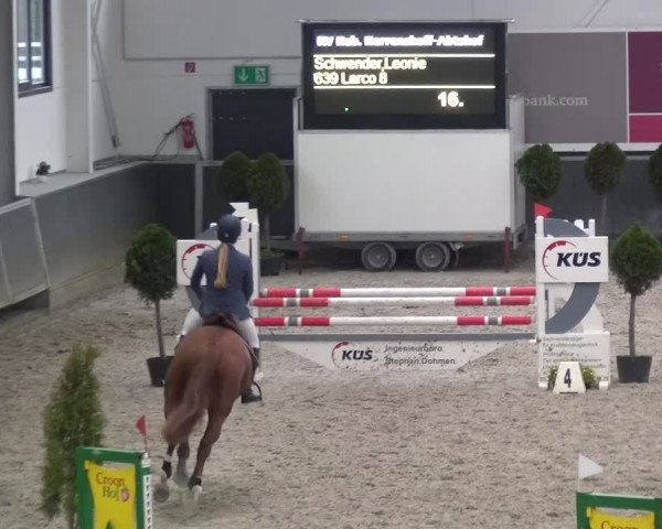 Reitturnier Mönchengladbach-Abtshof 2015