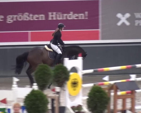 Reitturnier Mönchengladbach-Abtshof 2015