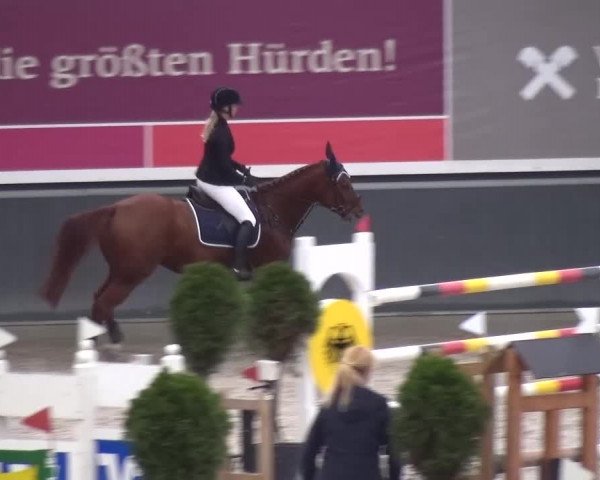 Reitturnier Mönchengladbach-Abtshof 2015