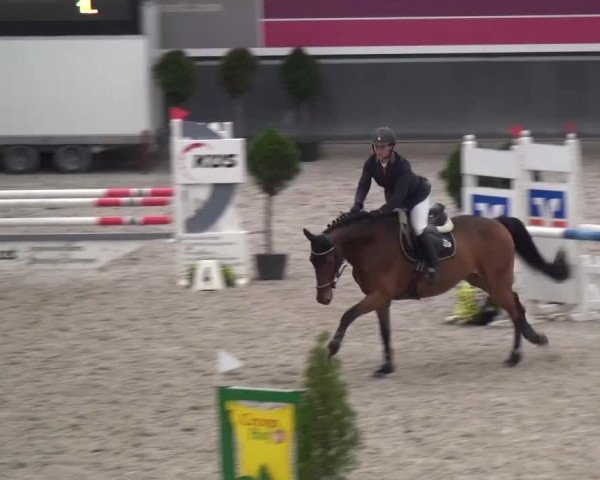 Reitturnier Mönchengladbach-Abtshof 2015