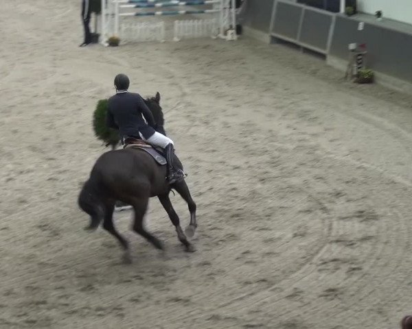 Reitturnier Mönchengladbach-Abtshof 2015