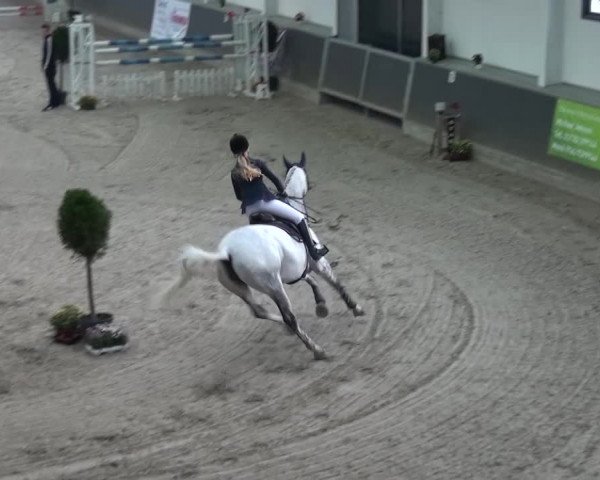 Reitturnier Mönchengladbach-Abtshof 2015
