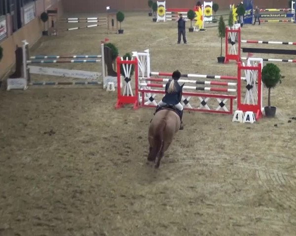 Junior Open Lobberich 2015