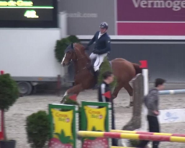 Reitturnier Mönchengladbach-Abtshof 2015