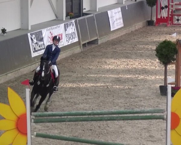 Reitturnier Mönchengladbach-Abtshof 2015