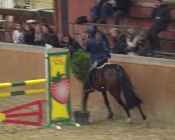 Junior Open Lobberich 2015