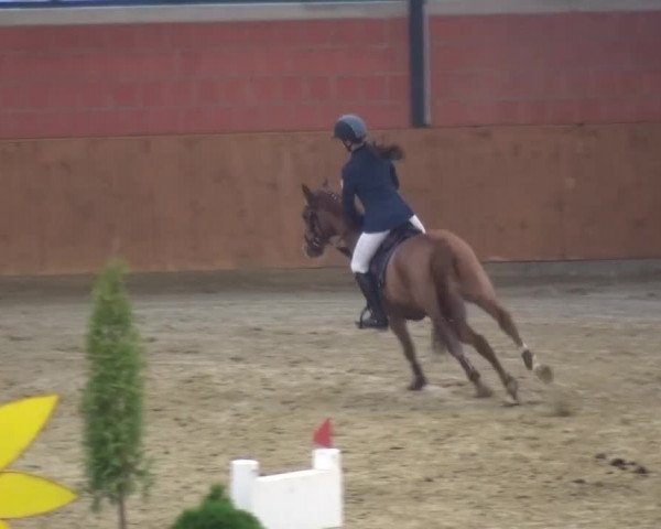Junior Open Lobberich 2015